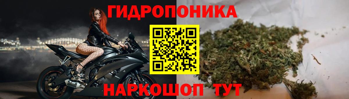 Каннабис гибрид Дубна